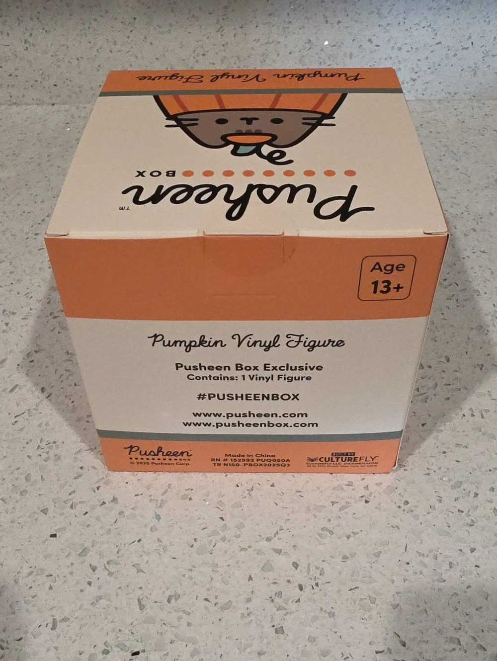 Pusheen Pumpkin Vinyl Figure, Limited Edition Fall 2025 Box, Halloween Cat